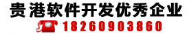 广西贵港软件开发技术及网站建设行业的优秀企业