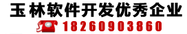 天下九洲区别玉林软件开发技术及网站建设行业的优秀企业