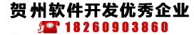 贺州软件开发技术领先企业