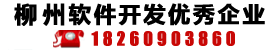 广西柳州软件开发技术及万乐城万乐城网站建设行业的优秀企业