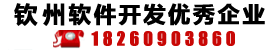 钦州软件开发技术领先企业