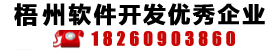 梧州软件开发技术领先企业