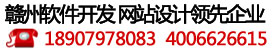 赣州软件开发技术及手机软件开发行业的优秀企业