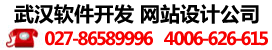 武汉威廉希尔出款开发技术及手机威廉希尔出款开发行业的优秀企业