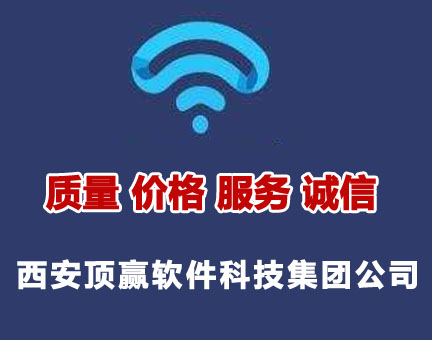 西安顶赢软件科技集团公司