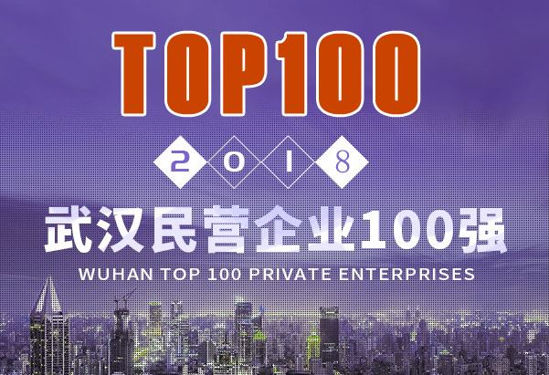 2018年武汉民营企业100强