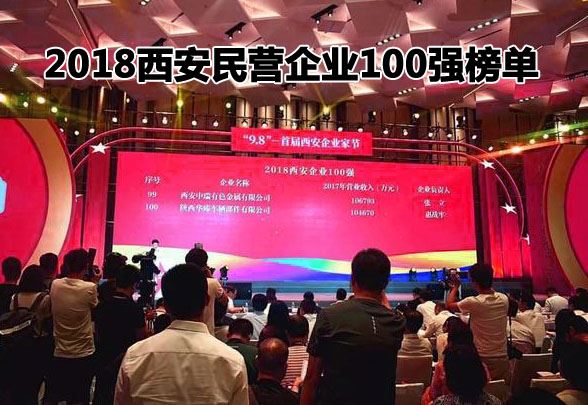 2018西安民营企业100