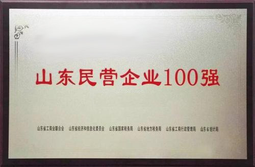 山东民营企业100强