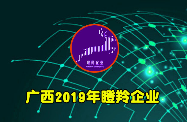 广西2019年瞪羚企业