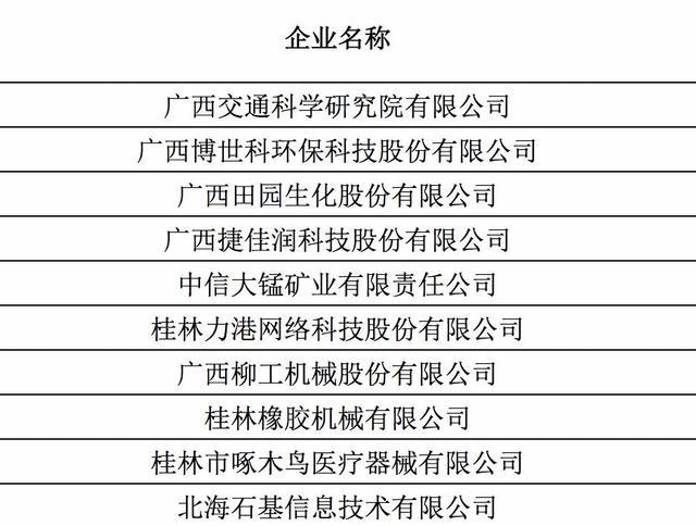 广西创新能力十强玄武dhl榜单