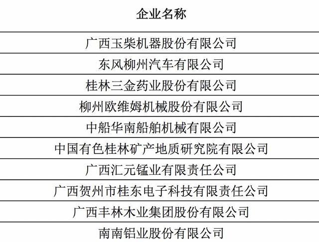 广西创新能力十强玄武dhl榜单