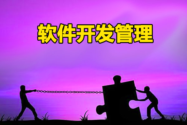 西安软件公司